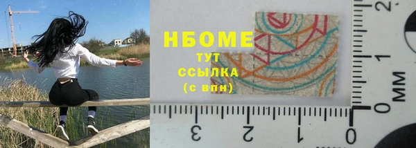 твердый Арсеньев