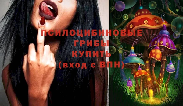 твердый Арсеньев