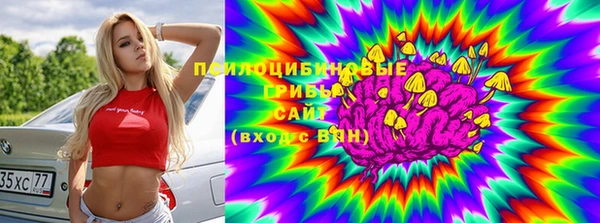 твердый Арсеньев