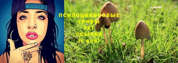 твердый Арсеньев