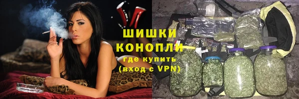 твердый Арсеньев